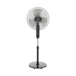 Stand Fan
